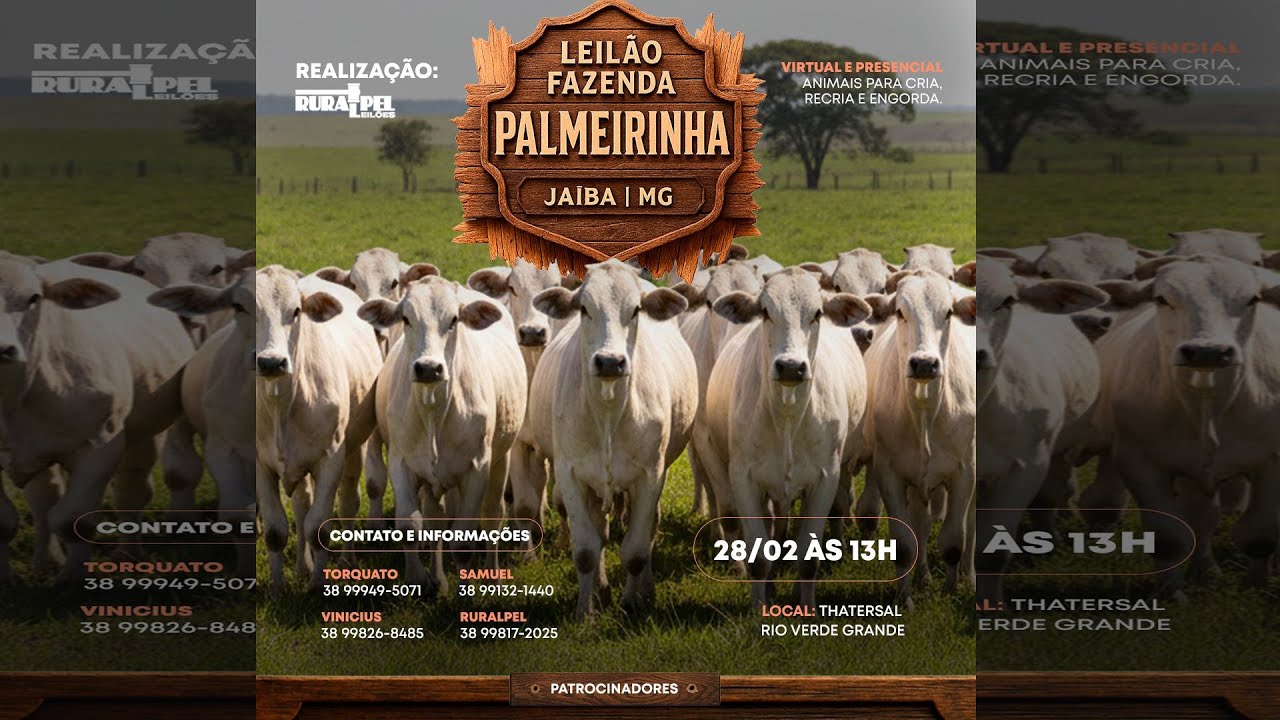 Leilão da Fazenda Palmeirinha - Jaíba/MG