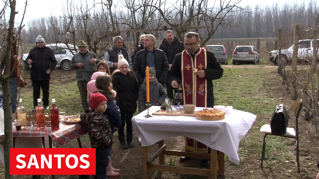 SVETI TRIFUN OBELEŽEN U TARAŠKIM VINOGRADIMA