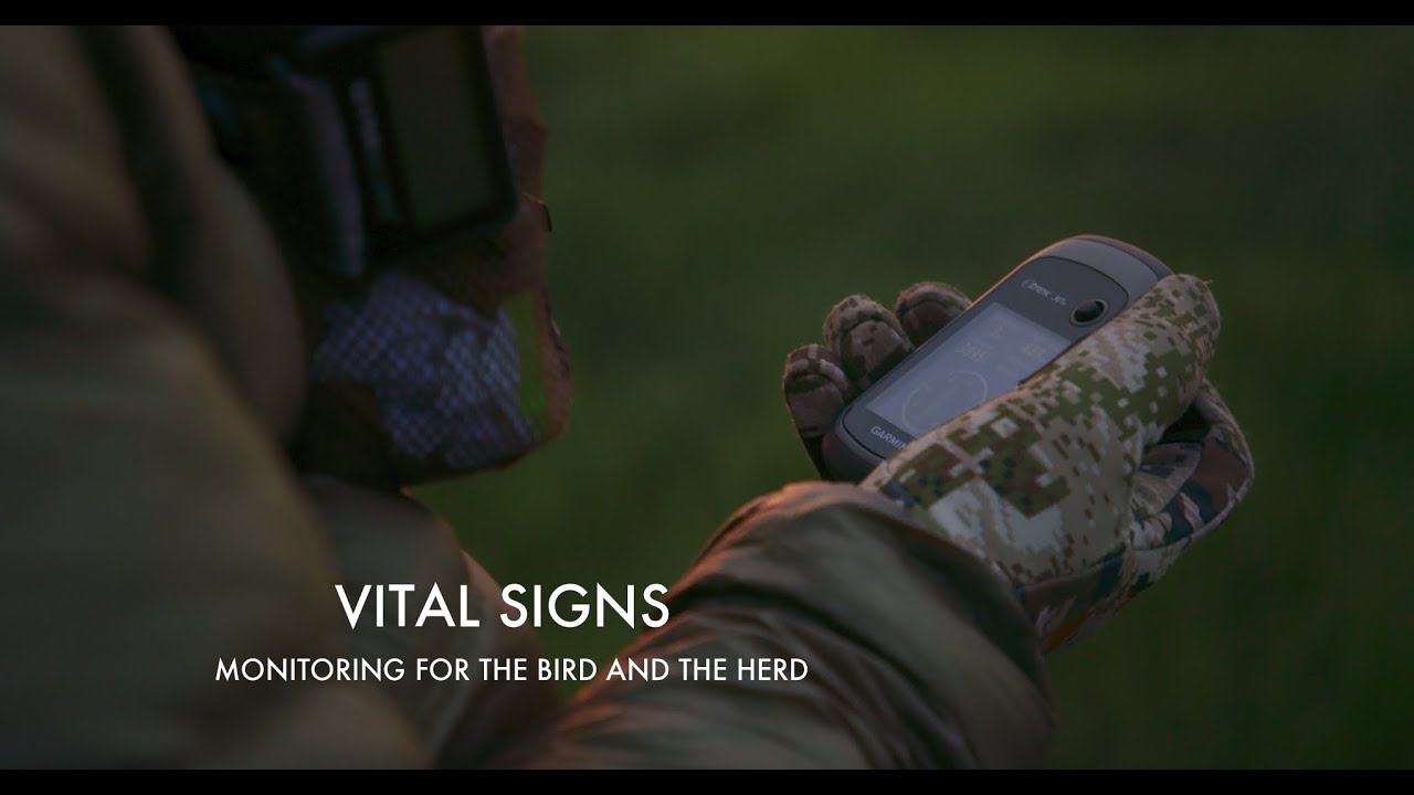 VITAL SIGNS   Monitoring for the Bird and the Herd