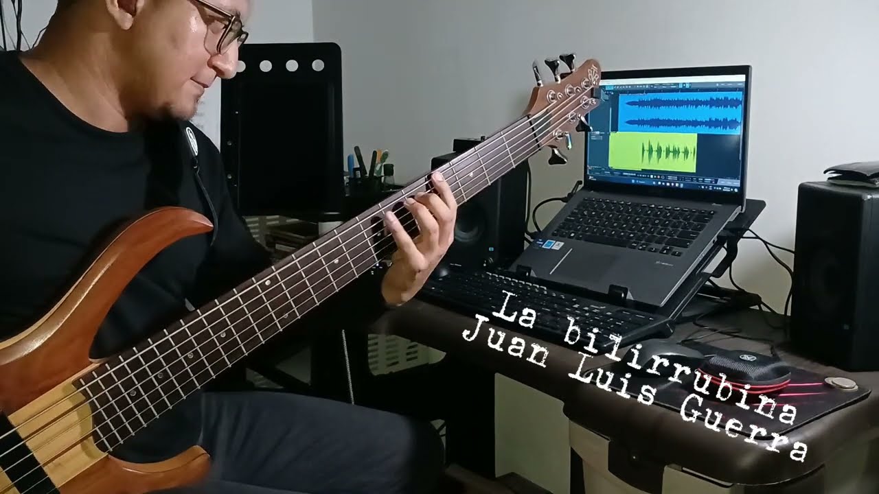 La bilirrubina | Juan Luis Guerra - Bass cover