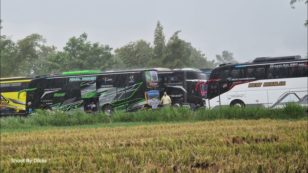 Trip NOTR 2026 Yogyakarta Full Berkesan!!  , Absen Nih Kalian Naik Unit Apa??☺️ #tripbusmania #mntp