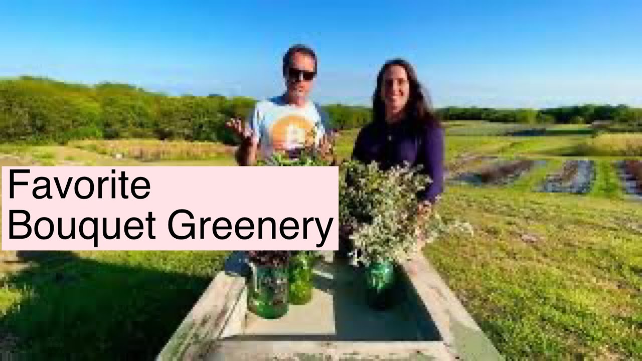 Best Perennial Greenery For Bouquets | PepperHarrow Farm