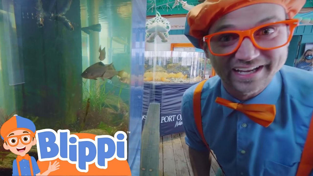 À la découverte des animaux sous-marins avec Blippi | Les Enfants Apprennent Le Français