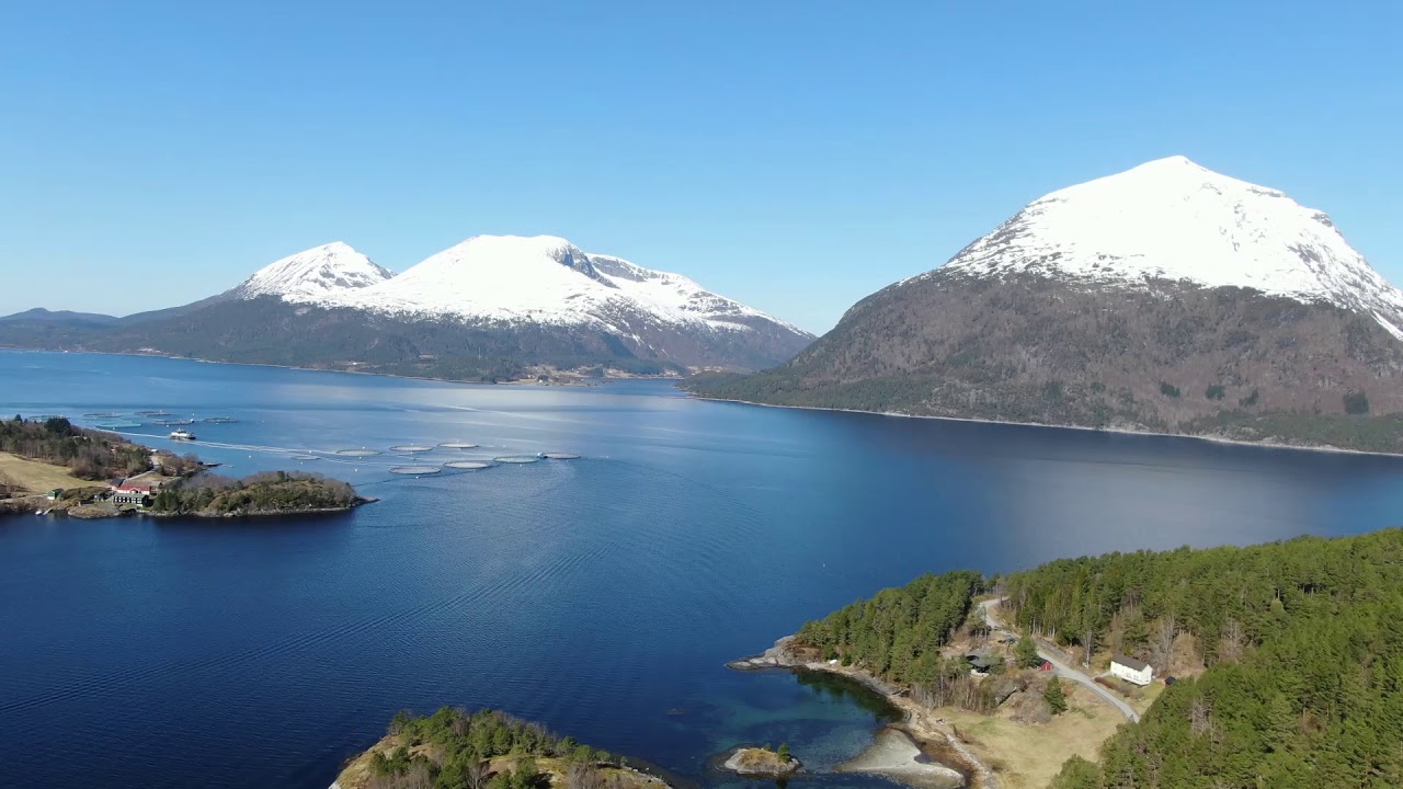 Ytre del av Skålvikfj  mot Tustna