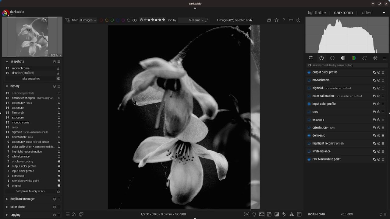 Photo edit 4.  Simplified black and white in Darktable