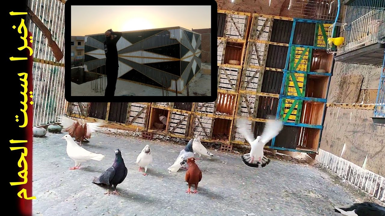 سيبت حمام السلاكة و في حمام ضاع 😱 وجوزت حمام