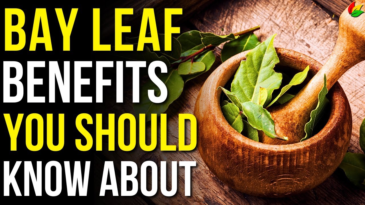6 Amazing Benefits of Bay Leaf! | What Do Bay Leaves do to Your Body?