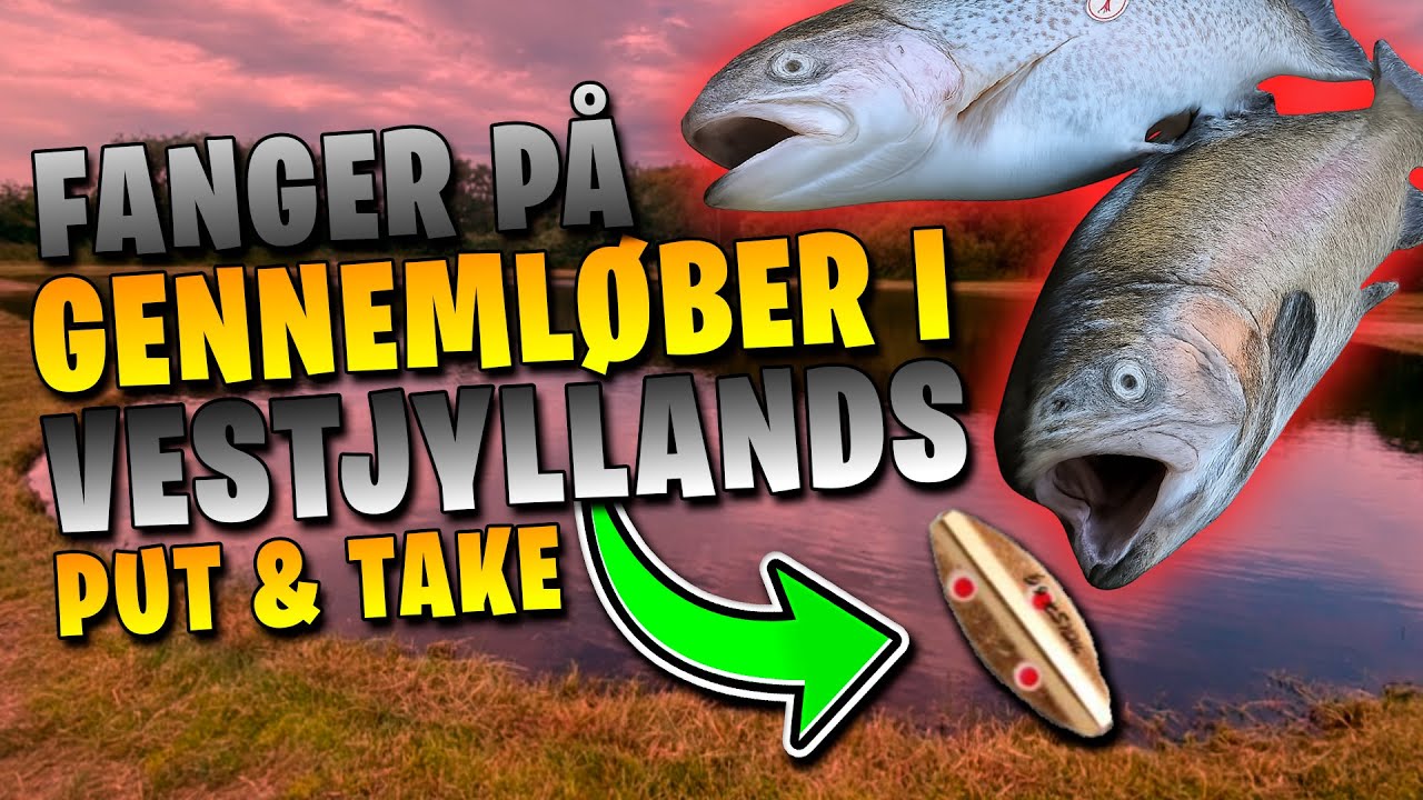 Fangede jeg den største fisk i Vestjylland?