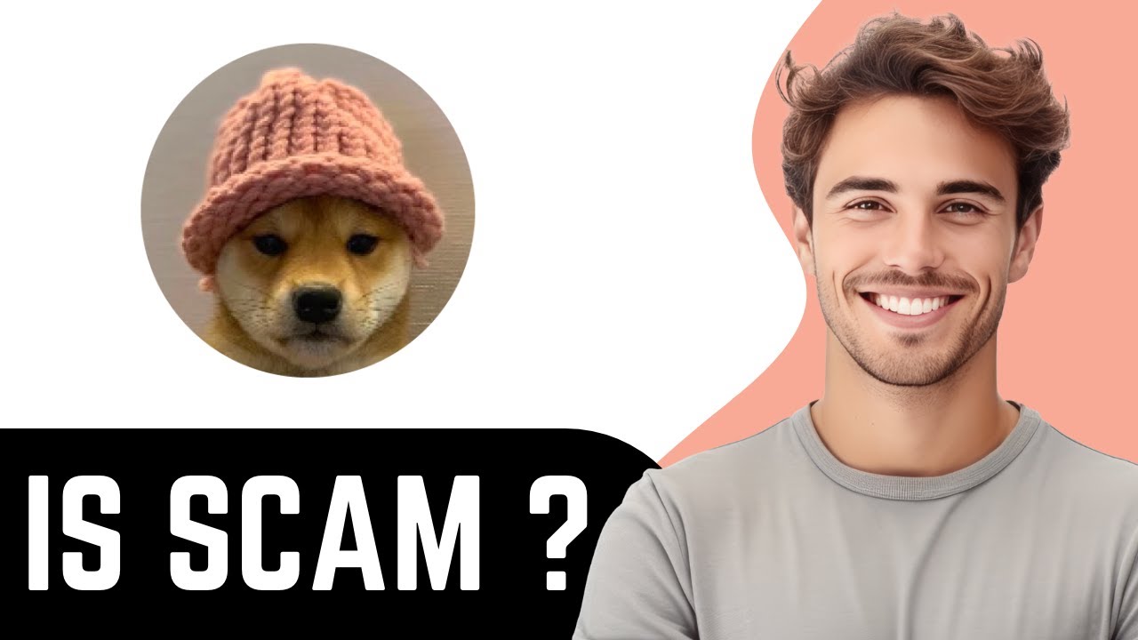 Is dogwifhat ($WIF) Token Legit or Scam ? (Review)