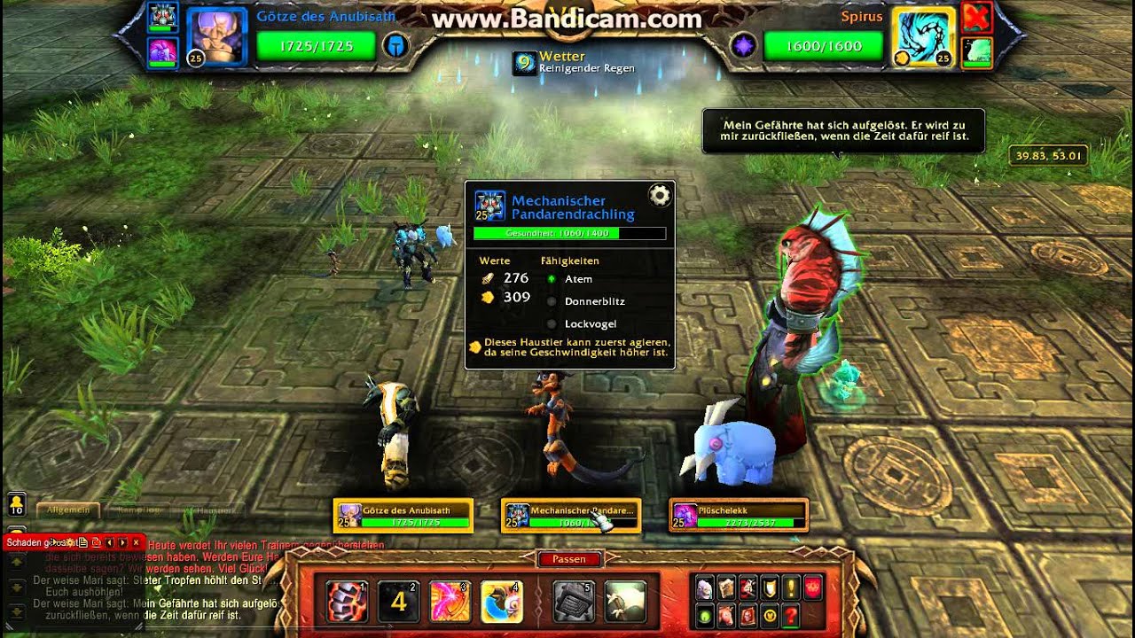 Wow Haustier Guide Der wei&szlig;e Mari mit Pl&uuml;schelekk