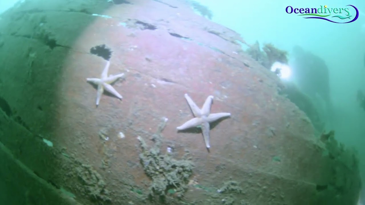 The Wreck of the Rath Connla | Killary Fjord Shore Dive &ndash; Oceandivers Ireland