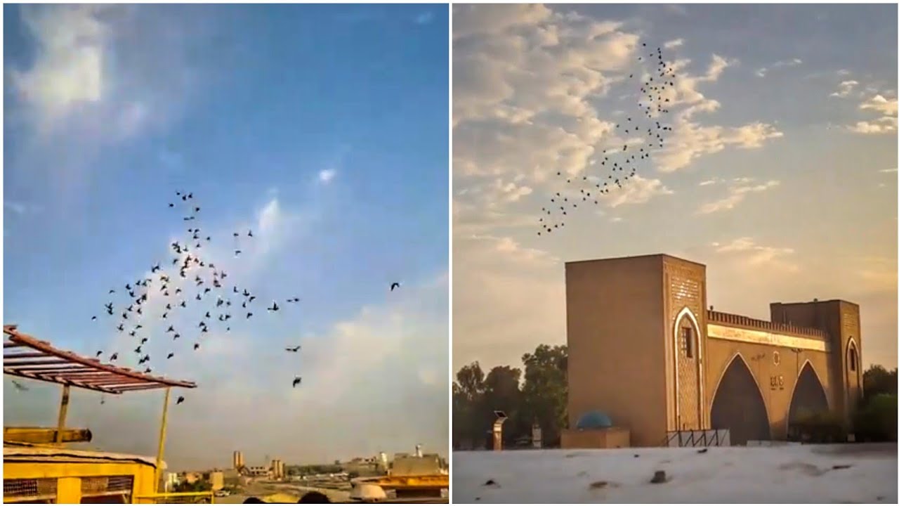 زياره ميدانيه فصل صبح يم الكابتن عمار ابو لبوابه