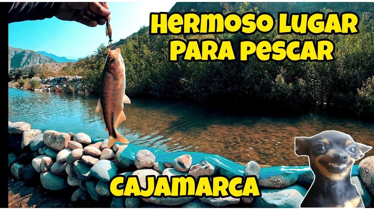 Pesca Mortal 