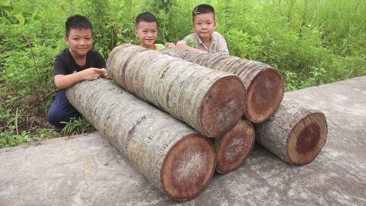100 AMAZING Woodworking Techniques: Step-by-step Guide Transform Coconut Tree Trunks Into Furniture!