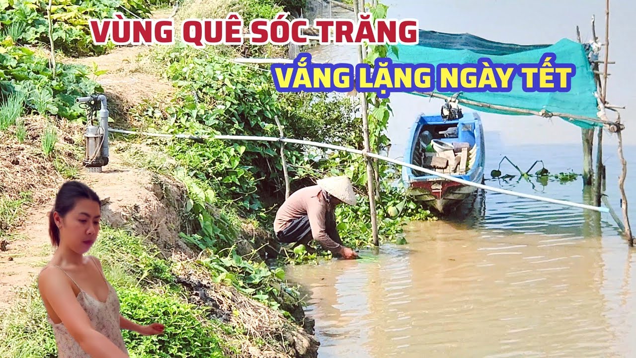 Bất Ngờ Vùng Quê Sóc Trăng Vắng Lặng Ngày Tết, Nhà Cửa Thưa Thớt Chỉ Thấy Cảnh Trồng Trọt 2026