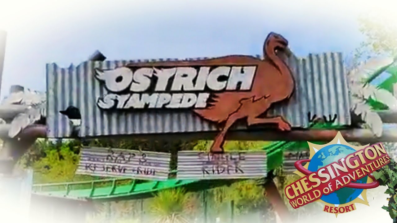 Ostrich Stampede POV | Chessington World of Adventures | 30th August 2024