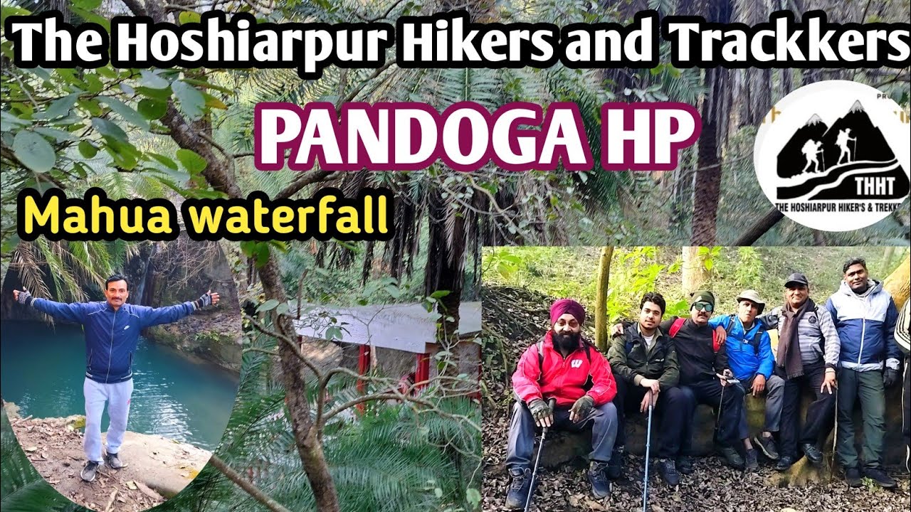 Mahua Waterfall || Sunday Trekking Pandoga Himachal Pardesh 