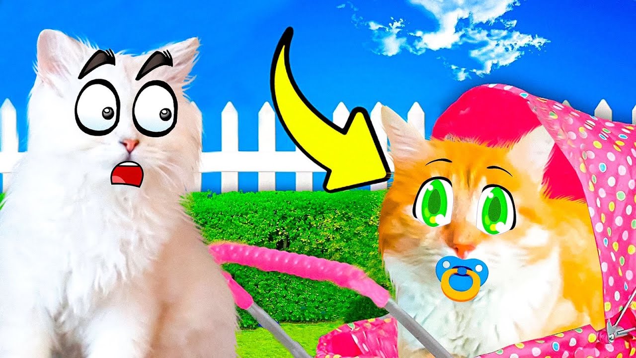 Стали НЯНЯМИ для ЗЛОГО КОТА на 24 часа. ЖЕСТКИЕ ПРАНКИ!!!