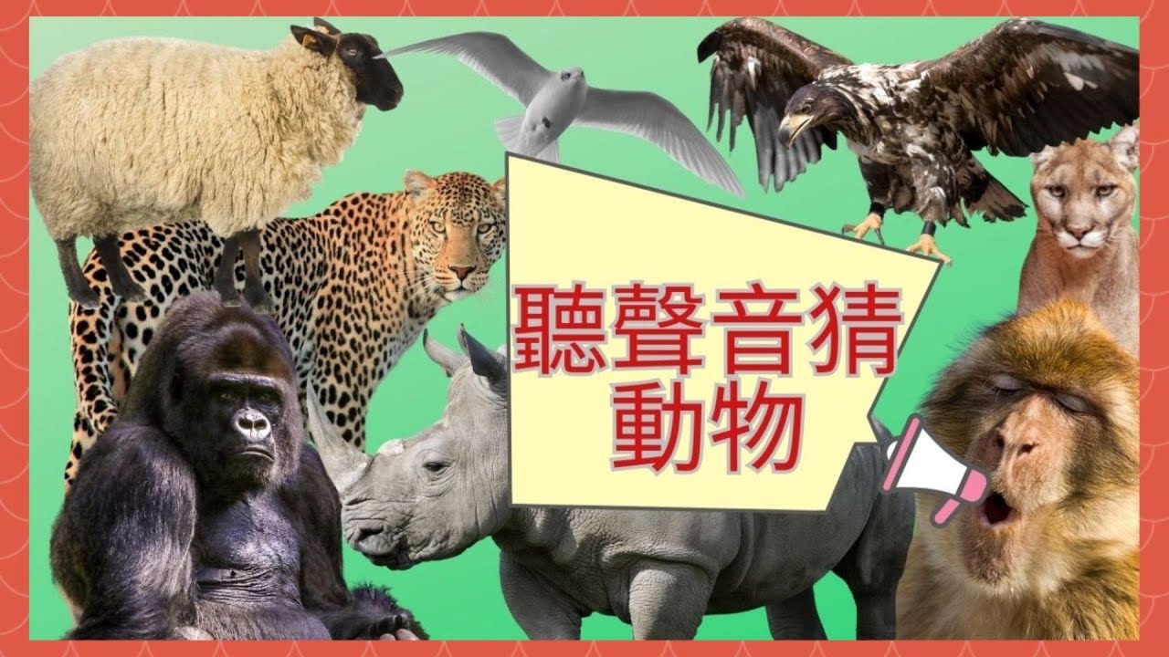 3秒鐘聽聲音猜動物! Let's guess the animals by their sounds! #animals #兒童教育