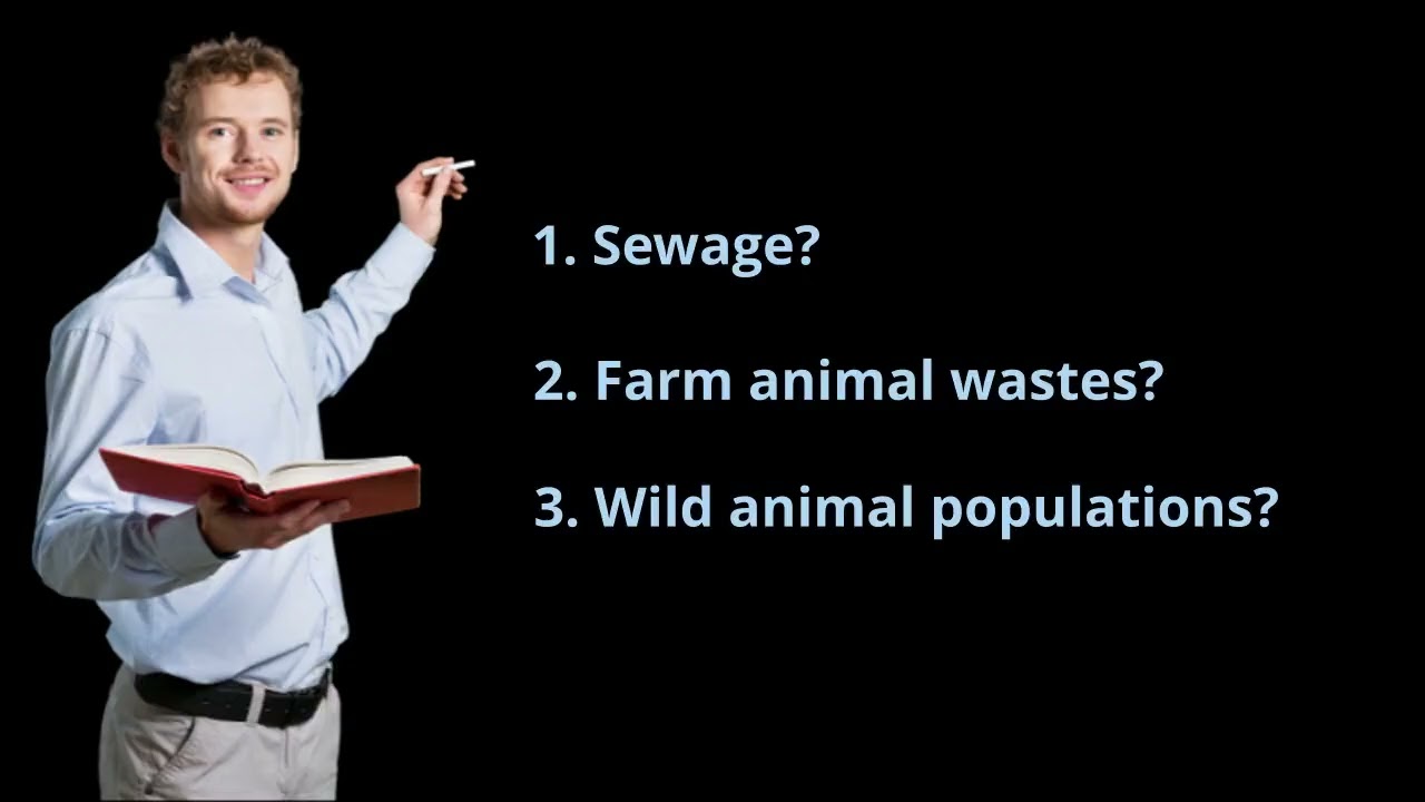 Sewage Backup Cleanup and Sewage Removal Chicago & Suburbs (773) 885-8528