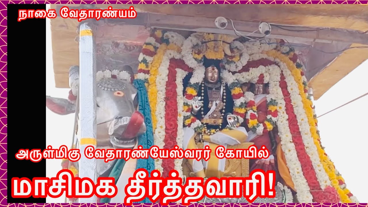 நாகை வேதாரண்யம் அருள்மிகு வேதாரண்யேஸ்வரர் கோயில் மாசிமக தீர்த்தவாரி! 