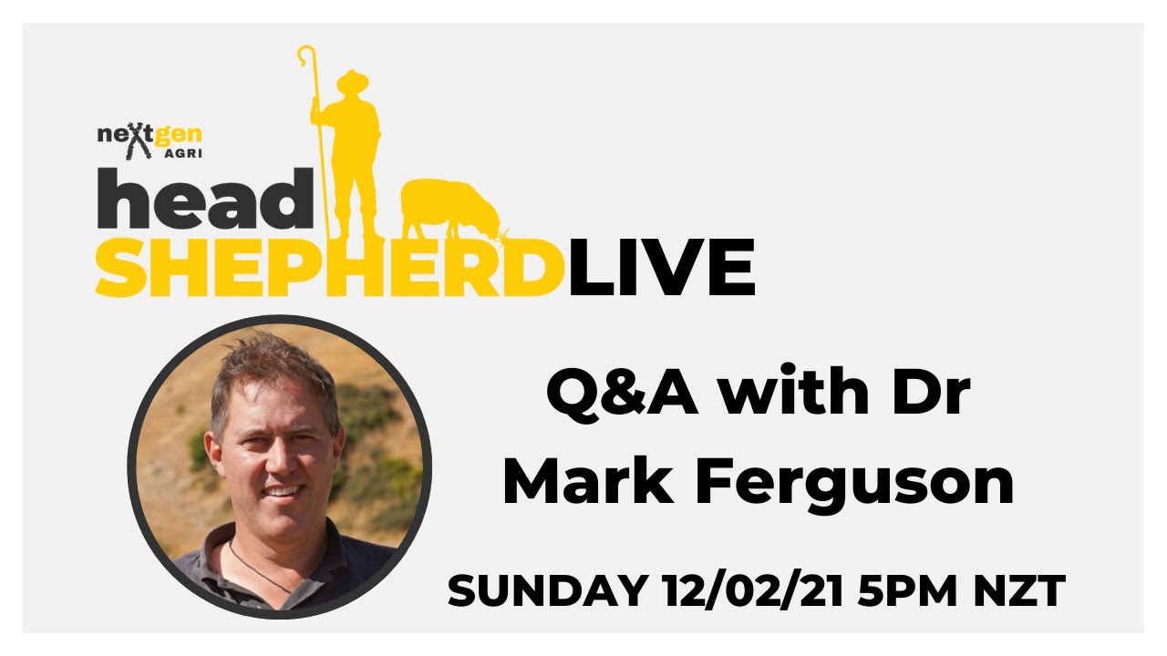 Head Shepherd Live. Q&A with Dr Mark Ferguson.