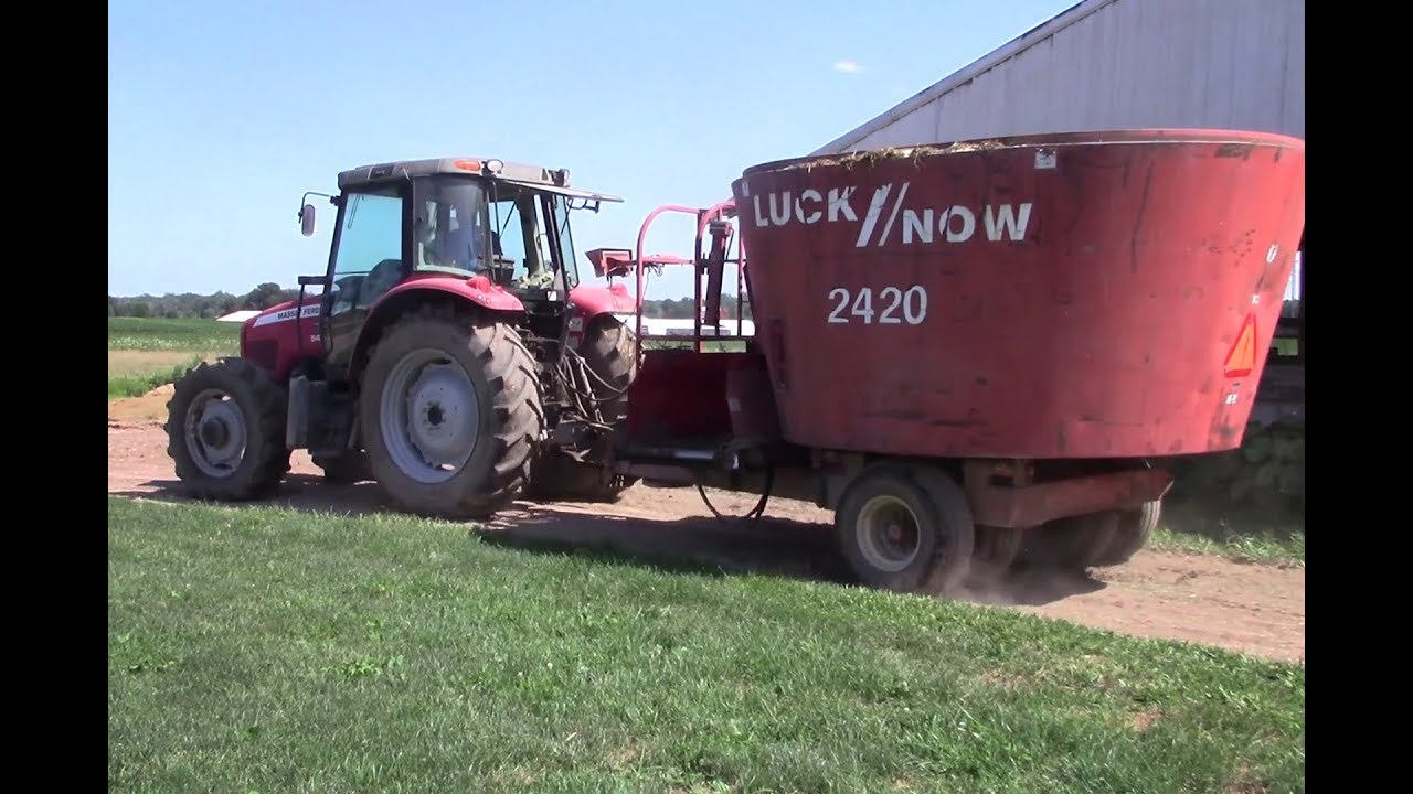 Mixing Feed for the Dairy Cows