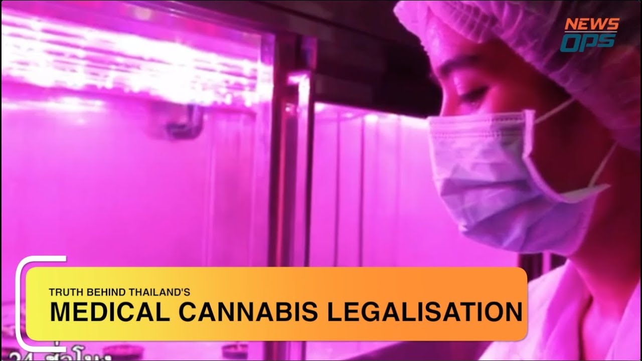 Medical Cannabis Legalisation in Thailand