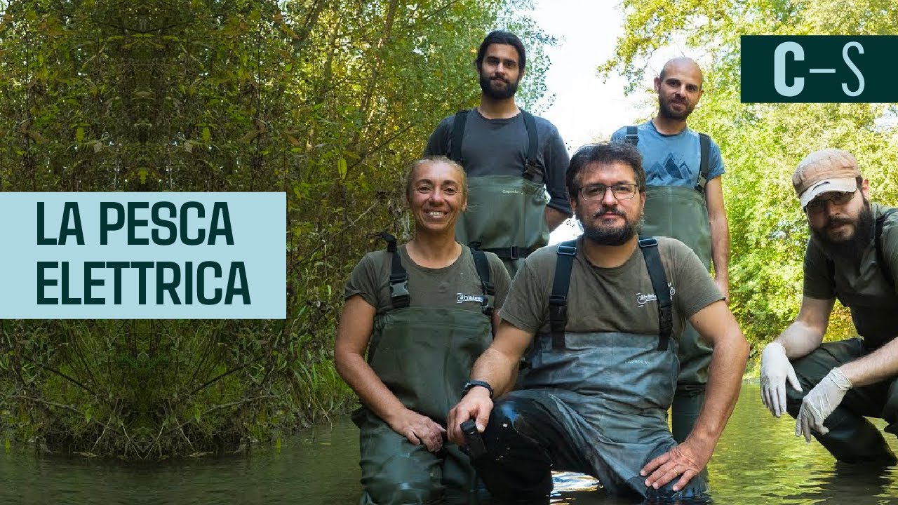 La pesca elettrica