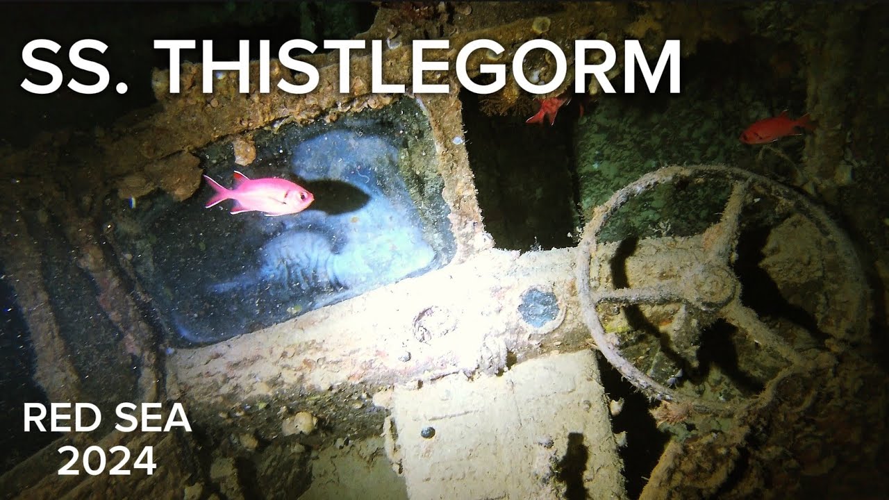 SS Thistlegorm wreck, Red Sea 2024.