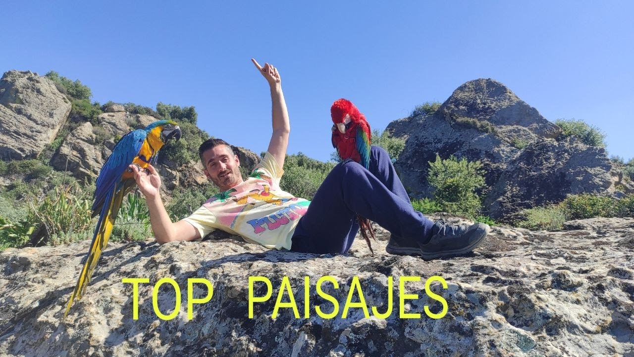 🦜vuelo libre de loros🌳(PAISAJES ESPECTACULARES)😍