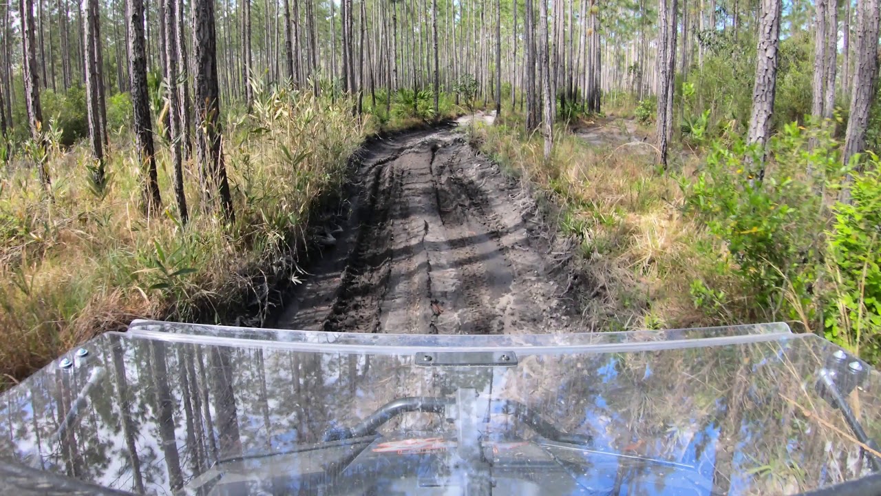 Apalachicola National Forest OHV Trails