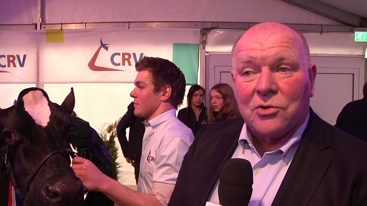 Eerste 200.000 kg koe van Nederland gehuldigd in Geesteren