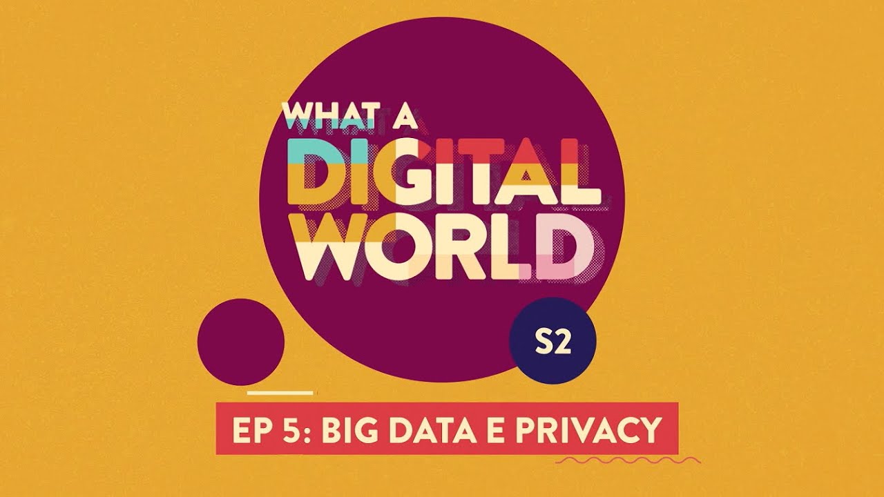 What A Digital World | Big Data e Privacy