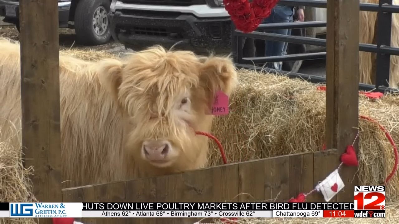Blessing Creek Farms celebrates 