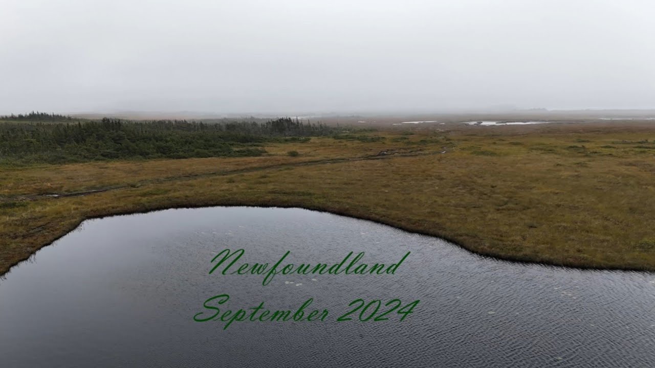 Reisereport Neufundland 2024