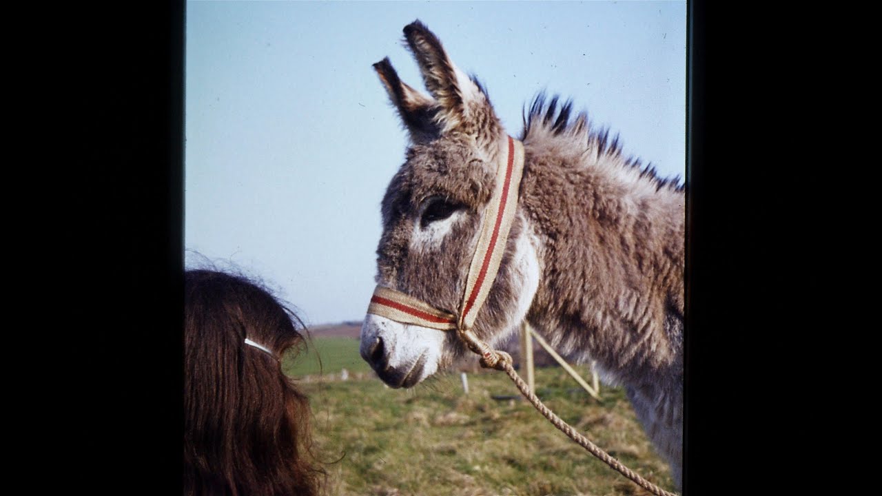 from the Croi 11th April 2025   Lent 6 Palm Sunday