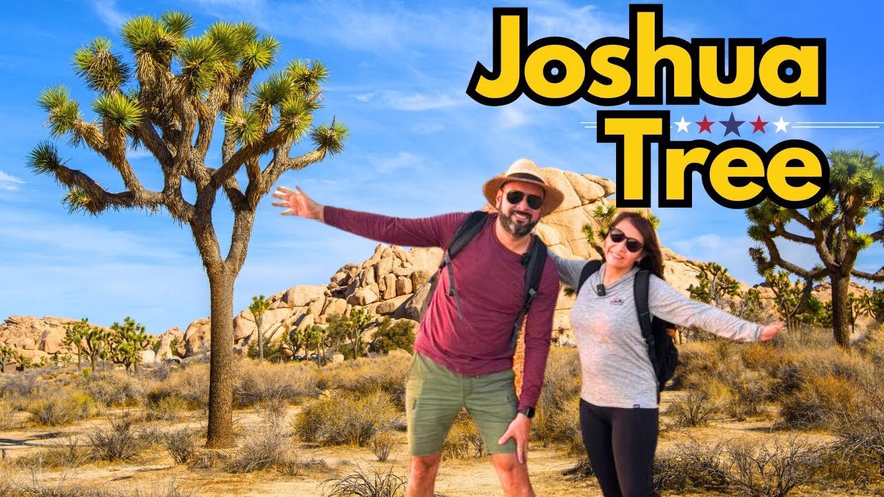 🌵 Joshua Tree National Park: Una Aventura en el Desierto | California 4K