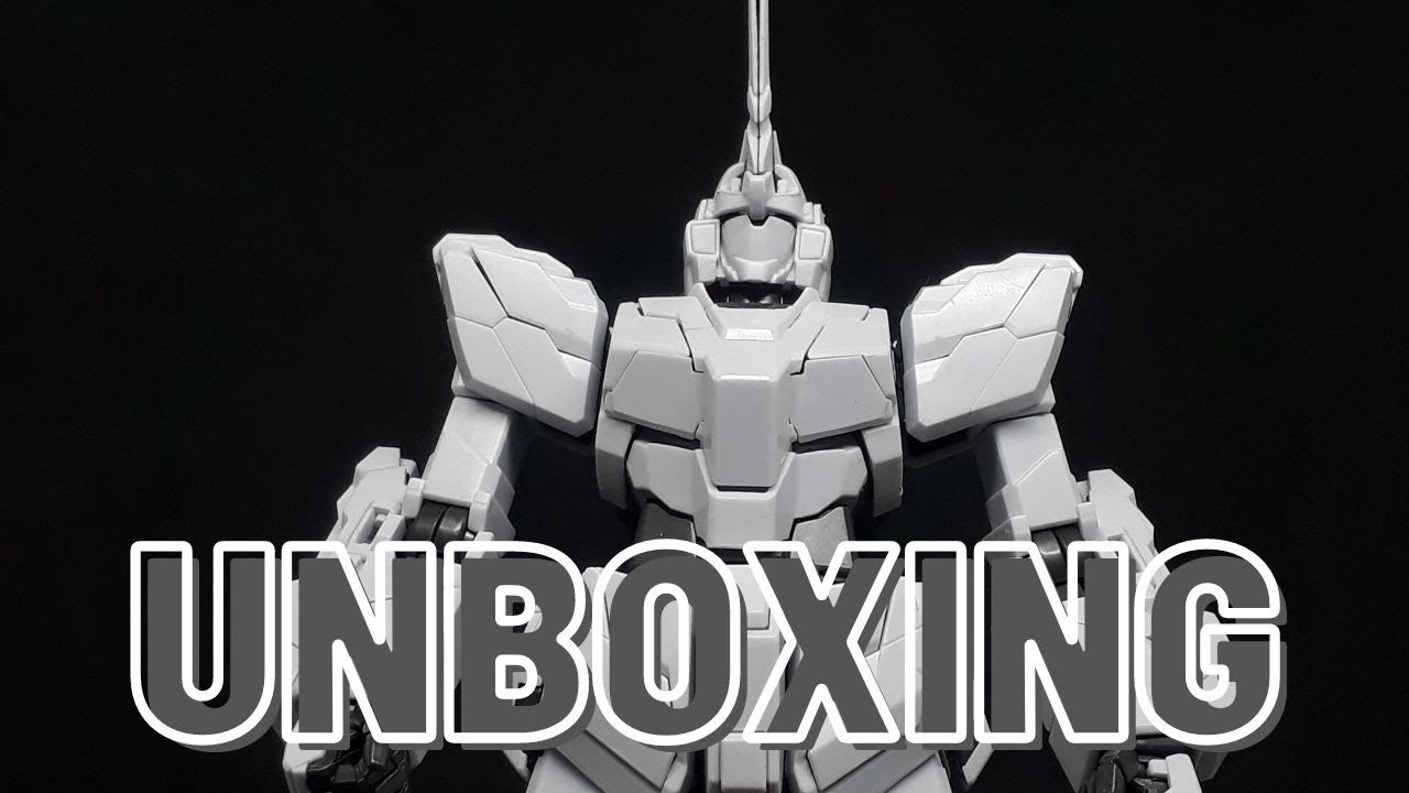 DABAN MG 1/100 Unicorn Gundam + MS Cage [Unboxing]