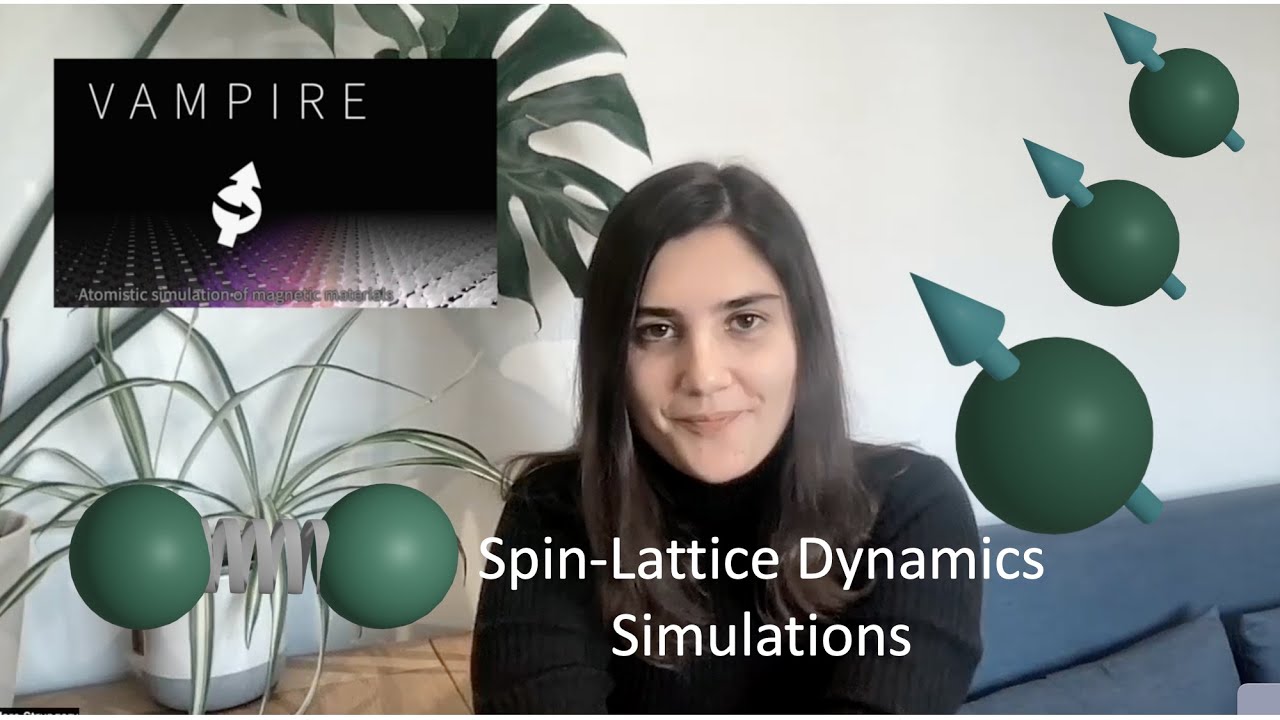 Spin-lattice dynamics tutorial
