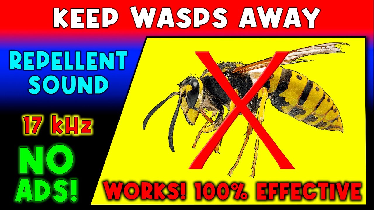 ANTI WASPS REPELLENT SOUND ⛔🐝 KEEP WASPS AWAY - ULTRASONIC SOUND