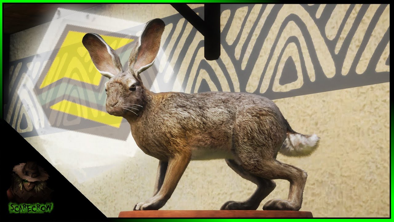 The Rarest Diamond On Vurhonga Savannah! Huge Diamond Scrub Hare & More! Call of the wild