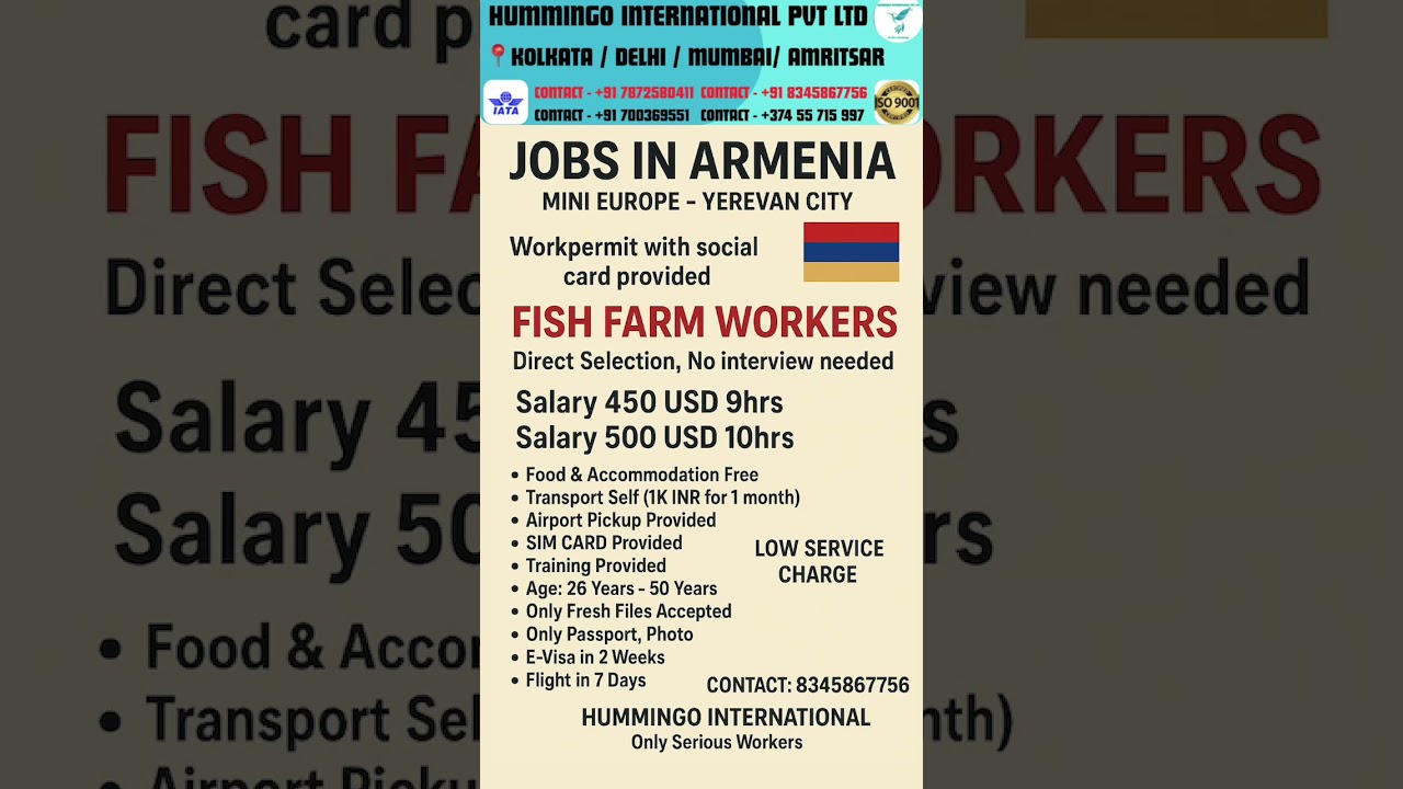 New jobs in Armenia 🇦🇲 for Indian 🇮🇳| Work Permit jobs | 500$ Salary | Free food |  #shorts #job