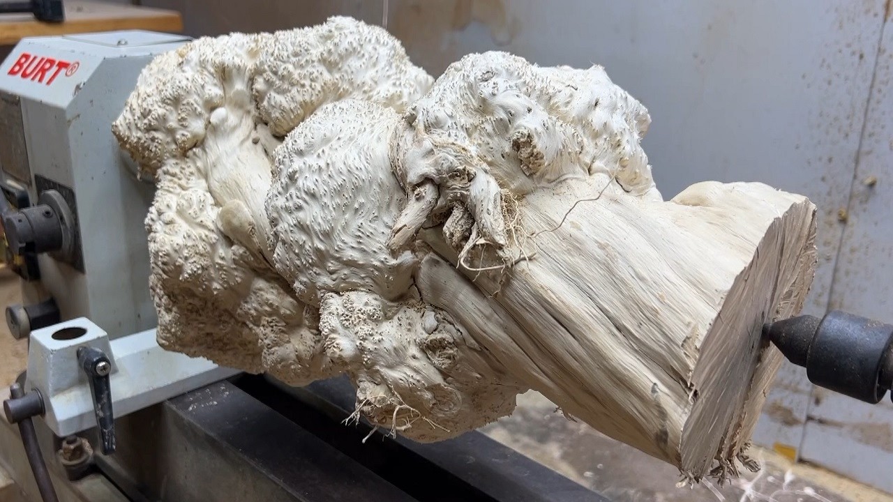 Create stunning works of art from knotty wood