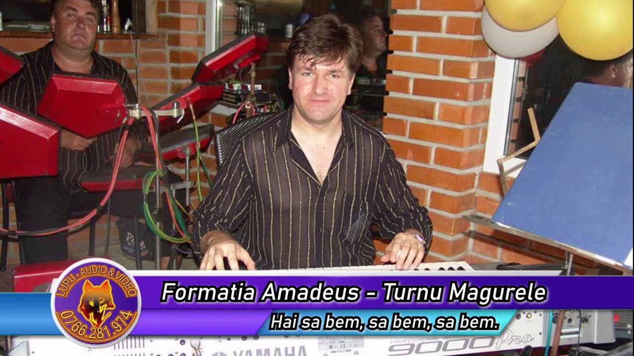 Formatia Amadeus   Turnu Magurele   Colaj de sarbe de joc si petrecere 2
