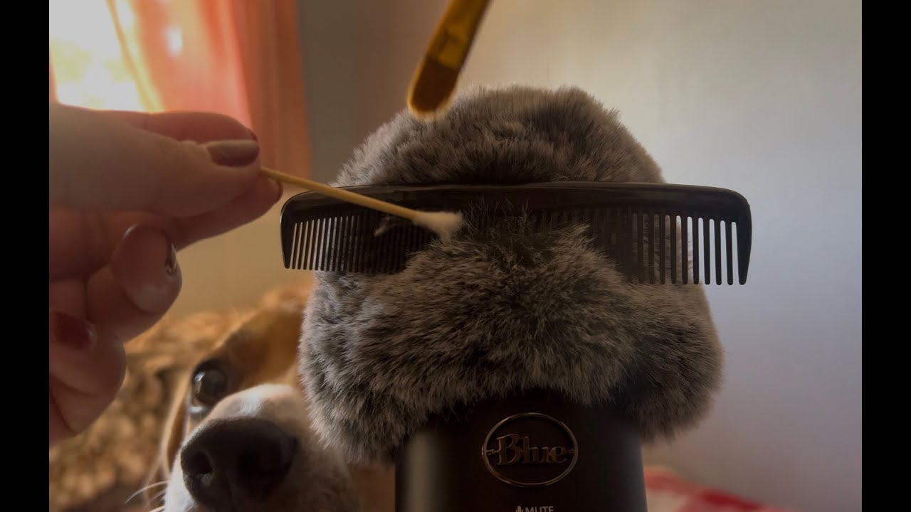 ASMR Mic blowing, brushing, scratching, ft. my dog ; No talking-ish