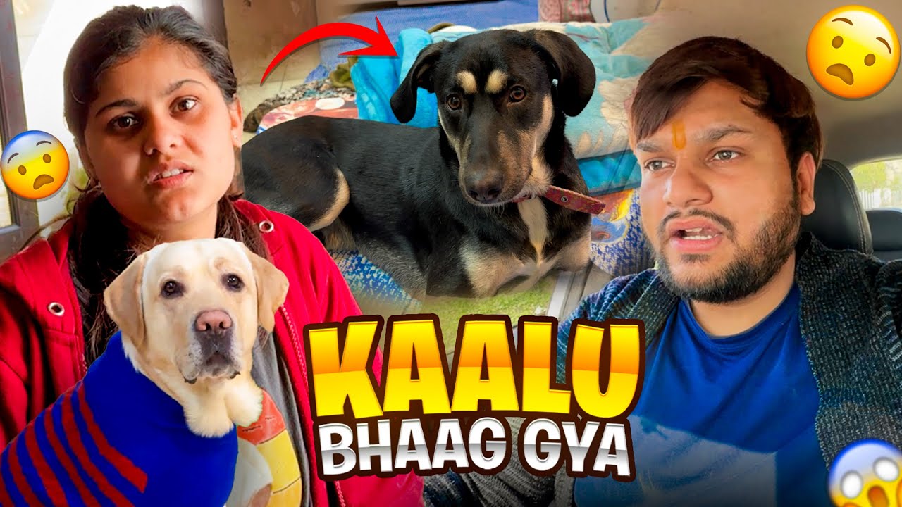Kaalu Ghar Se Bhaag Gya 😨