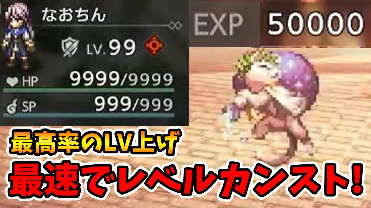 レベル99達成！最高率のレベル上げ方法を紹介します。【オクトパストラベラー0】【naotin】