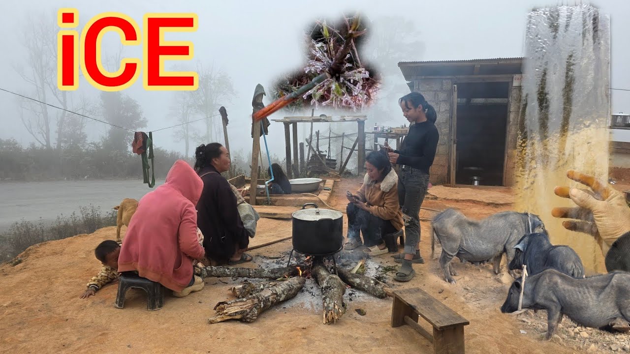 ( Feb 20, 2026 ) Toj Pos Huab Dawm Tuag No / Tu Siab 1 Sim