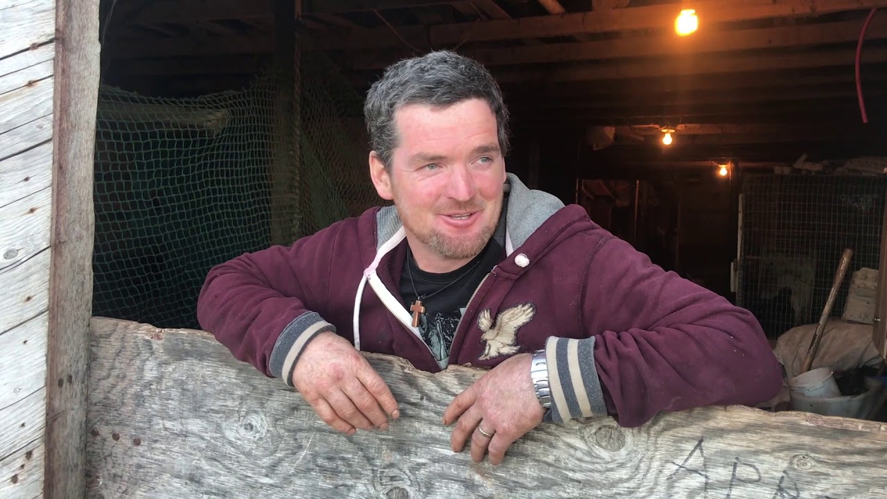 Shannon Power, Branch, Newfoundland, Words, Sayings and Customs